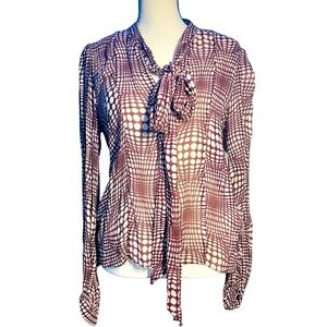 Zara sheer blouse